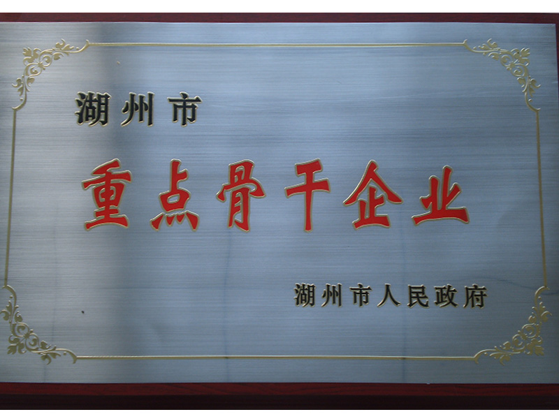 2010湖州市重點(diǎn)骨干企業(yè)